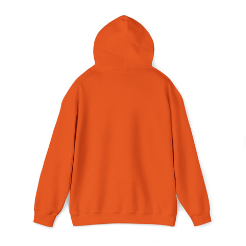 Justice Lion | Christian | Hooded Sweatshirt