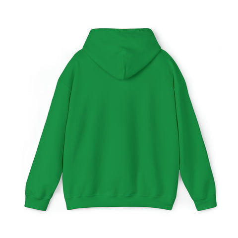 Justice Lion | Christian | Hooded Sweatshirt