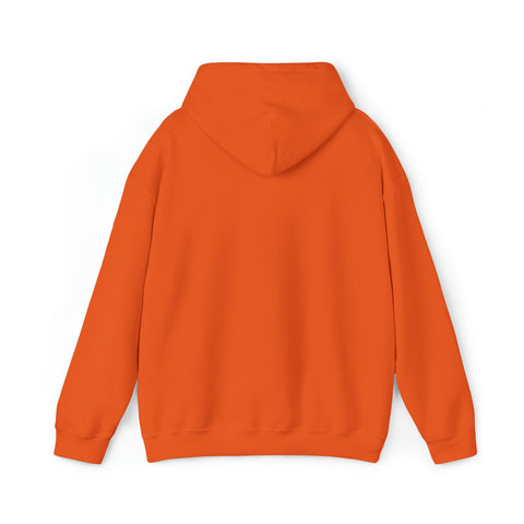 Justice Lion | Christian | Hooded Sweatshirt