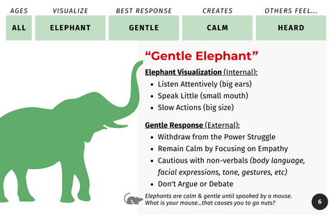Responding to Behaviors Guide | De-Escalation Techniques | Printed